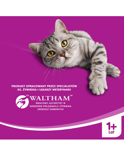 WHISKAS Adult cu miel 400 g
