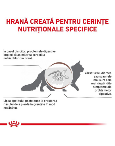 ROYAL CANIN Cat Gastro Intestinal 400 g hrana uscata pentru pisici cu tulburari gastrointestinale