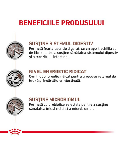 ROYAL CANIN Cat Gastro Intestinal 400 g hrana uscata pentru pisici cu tulburari gastrointestinale