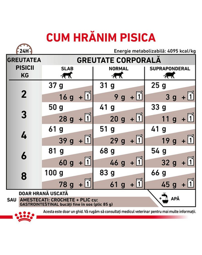 ROYAL CANIN Cat Gastro Intestinal 400 g hrana uscata pentru pisici cu tulburari gastrointestinale