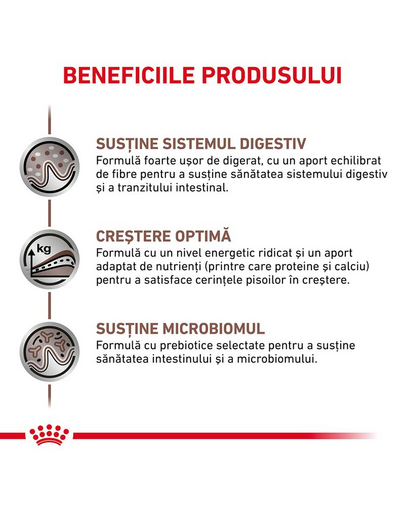 ROYAL CANIN Feline Kitten Gastro Intestinal 2 kg hrana pentru pisoi cu tulburari digestive