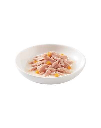 SCHESIR Ton cu dovleac în bulion 70 g