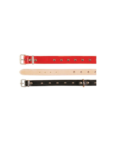 TRIXIE Basic Zgardă nituită ( M-L ) 38 - 48 cm / 22 mm