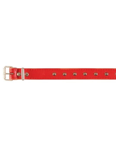 TRIXIE Basic Zgardă nituită ( L ) 46 - 55 cm / 22 mm