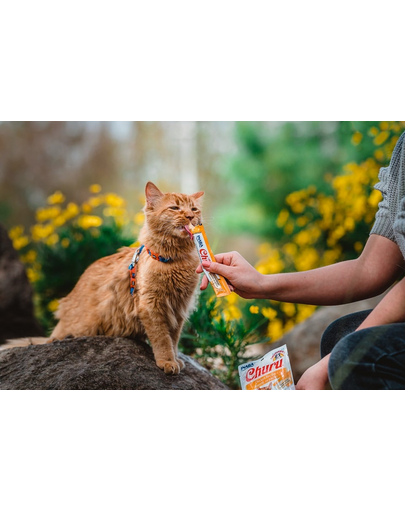 INABA Churu Cat Recompensa pentru pisici, piure cu pui 56 g