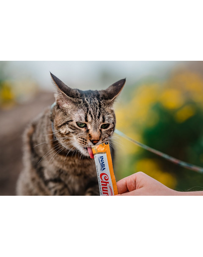 INABA Churu Cat Recompensa pentru pisici, piure cu pui 56 g