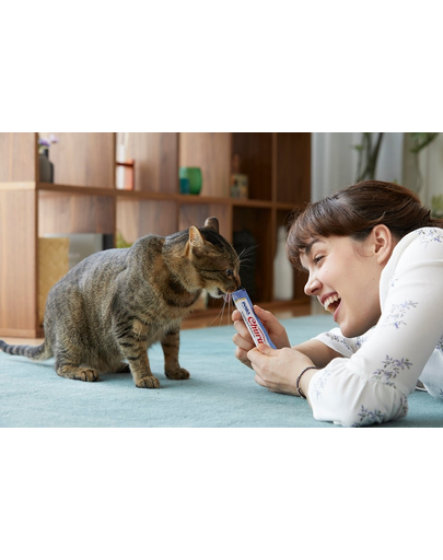 INABA Churu Cat Recompensa pentru pisici,  piure cu pui si creveti 56 g