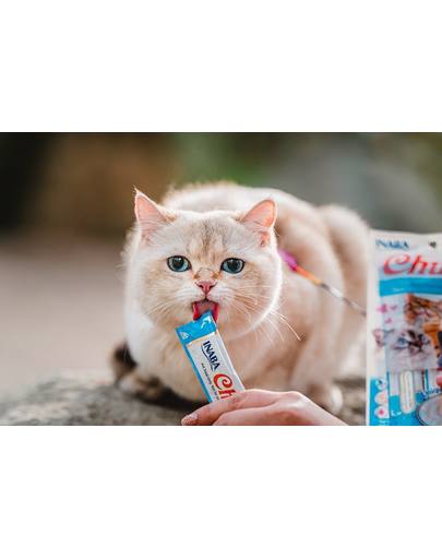 INABA Churu Cat Recompensa pentru pisici, piure cu ton si scoici 56 g