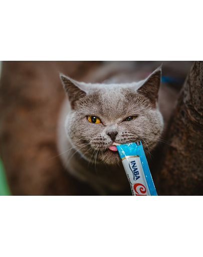 INABA Churu Cat Recompensa pentru pisici, piure cu ton si scoici 56 g