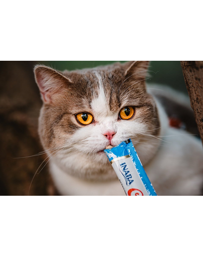 INABA Churu Cat Recompensa pentru pisici, piure cu pui si crab 56 g