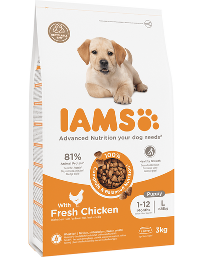 IAMS ProActive Health Puppy & Junior Large Breed cu pui 3 kg