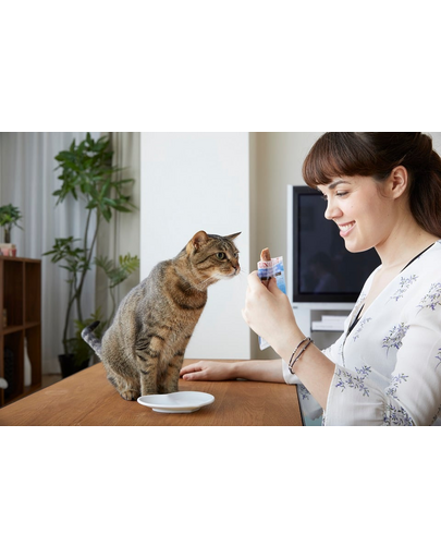 INABA CIAO Chicken fillet grilled Recompensa pentru pisici, file creveti 25 g