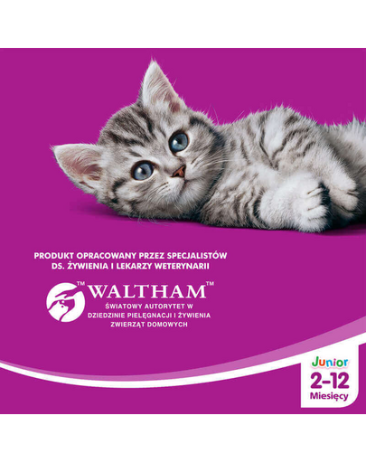 WHISKAS Junior cu Pui 300 g