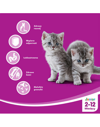 WHISKAS Junior cu Pui 300 g
