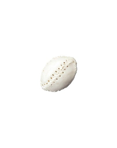 MACED Rugby alb 7.5 cm