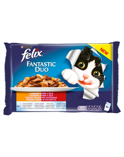 FELIX Fantastic Country Flavors 4x100 g