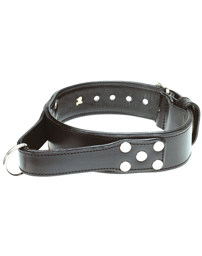 ZOLUX Zgardă cu holder 65 cm  negru