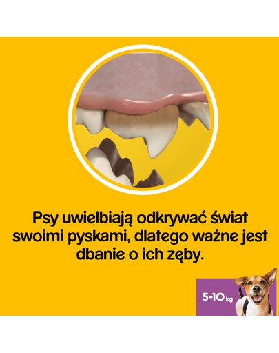 PEDIGREE Dentastix (rase mici) recompense dentare caini 56 buc - 8x110g