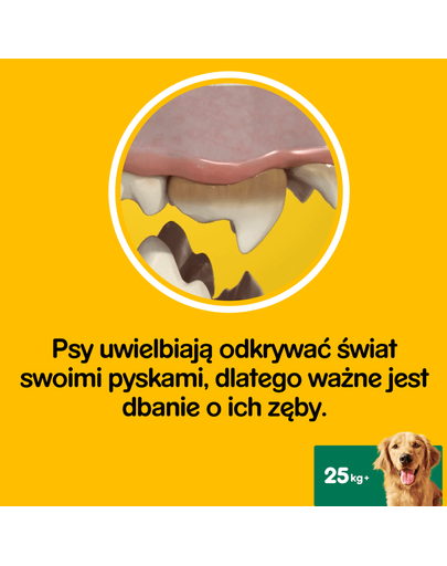 PEDIGREE Dentastix (rase mari) recompense dentare caini 56 buc (8x270g)
