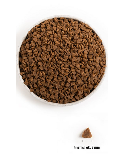 ACANA First Feast Cat hrana uscata pentru pisoi 1,8 kg