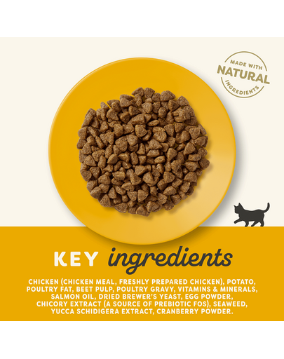 APPLAWS Kitten hrana uscata pentru pui de pisica, cu pui 2 kg