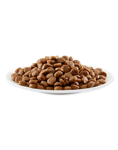 APPLAWS Hrana uscata pentru pisici cu somon si pui 400g