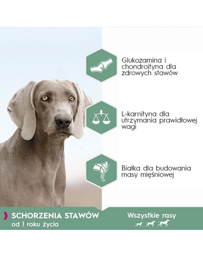 EUKANUBA Daily Care Adult Sensitive Joints hrana uscata caini adulti cu articulatii sensibile 12 kg