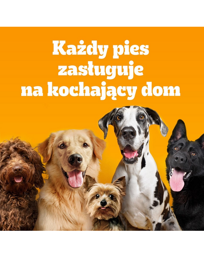PEDIGREE Adult MINI 500 g carne de pasare si legume hrana uscata completa pentru caini adulti de rase mici