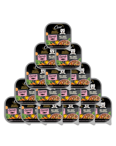CESAR tMancare umeda caine, somon imbogatit cu ulei de peste, spanac si morcovi 16x100 g