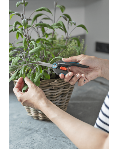GARDENA Foarfeca de gradina pentru recoltare FreshCut