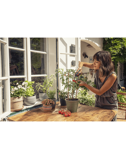 GARDENA Foarfeca de gradina pentru recoltare FreshCut