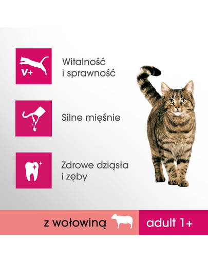 PERFECT FIT Cat Adult 6 x 750 g - bogat în vită
