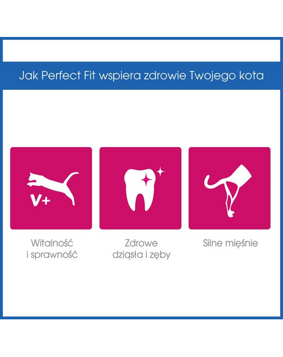 PERFECT Fit Adult 1+ bogat în somon 750 g