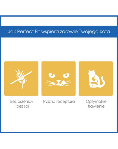 PERFECT Fit sensitive 1+ bogat în curcan 750 g
