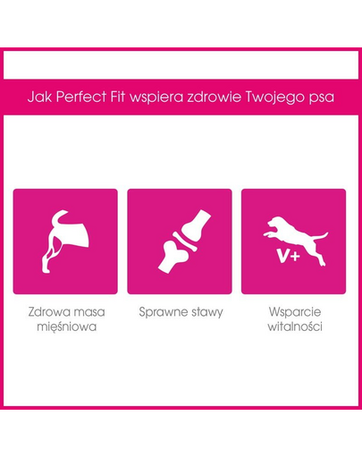 PERFECT FIT Adult (1+) pentru câini de talie medie și mare, cu carne de pasăre 14.5 kg