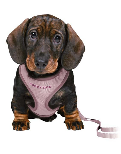 TRIXIE Junior Ham pentru pui, cu lesa, 26–34 cm / 10 mm, 2,00 m, lila