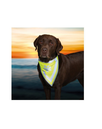 TRIXIE Bandană reflectorizantă XS - S 22 - 28 cm