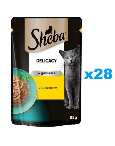 SHEBA Delicacy pui in aspic 28x85 g hrana pisici adulte