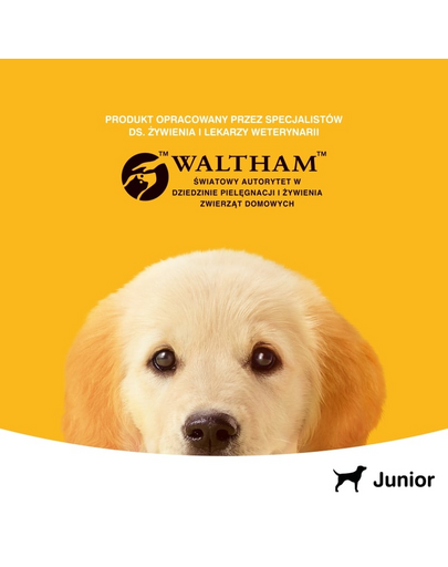 PEDIGREE Junior Hrana umeda catei, cu Pui in Aspic 400 g