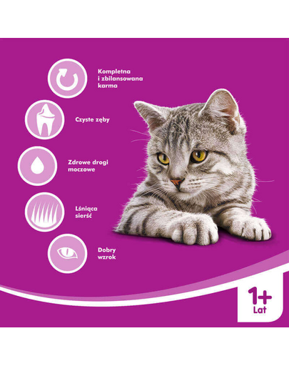 WHISKAS Adult Hrana uscata pisici, cu pui 7 kg