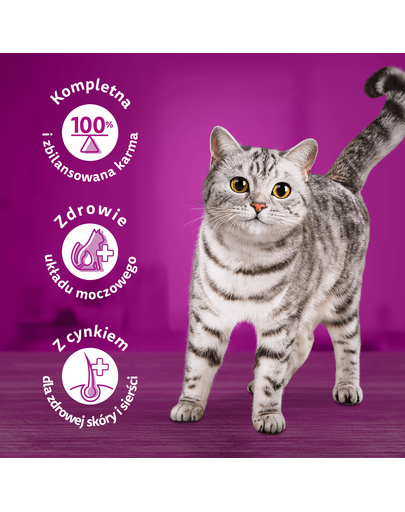 WHISKAS Adult 1,9 kg hrana uscata completa pentru pisici adulte cu ton delicios