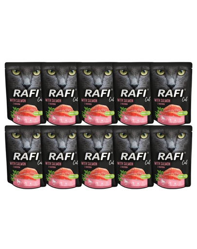 DOLINA NOTECI Rafi Cat mancare umeda pisici, cu somon 10x300 g