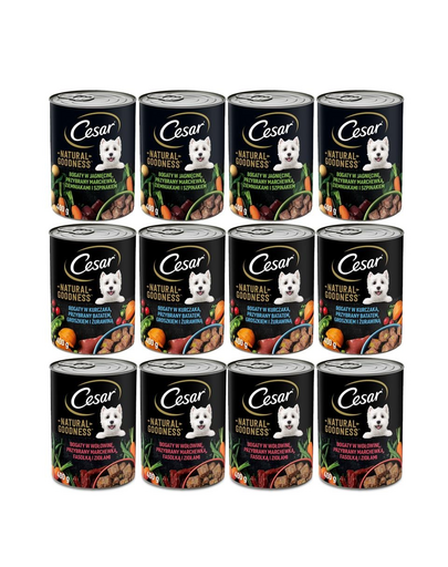 CESAR Hrana umeda pentru caini adulti, mix de carne si legume 12x400g
