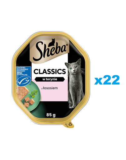 SHEBA Classics 22x85 g cu somon, tava hrana umeda pisica