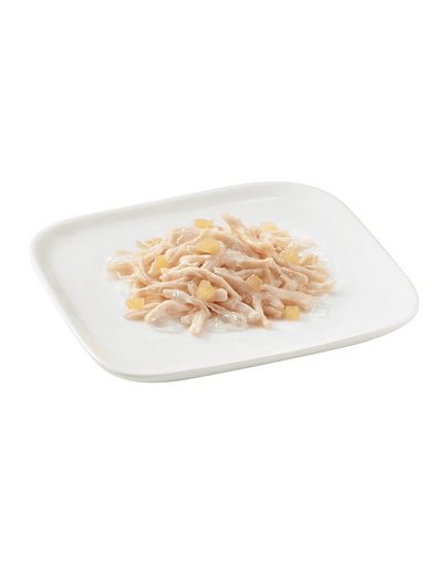 SCHESIR Fruit Conserva cu pui si mar pentru caine 150 g