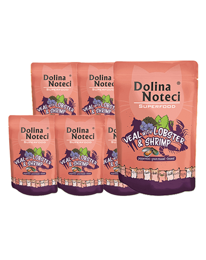 DOLINA NOTECI Superfood Plicuri hrana umeda pisici, cu homar si creveti 10x85 g