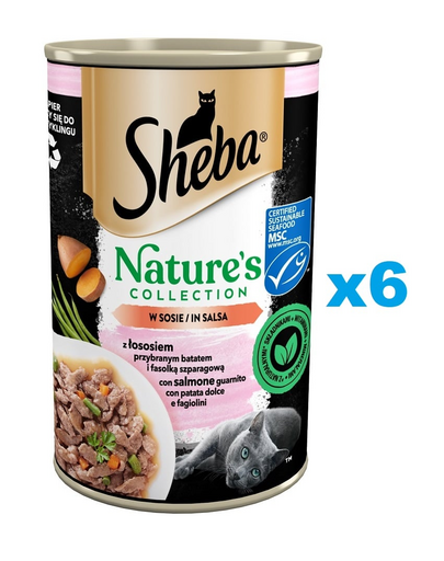 SHEBA pachet conserve 6 x 400 g Nature\'s Collection somon garnisit cu yam si fasole verde in sos