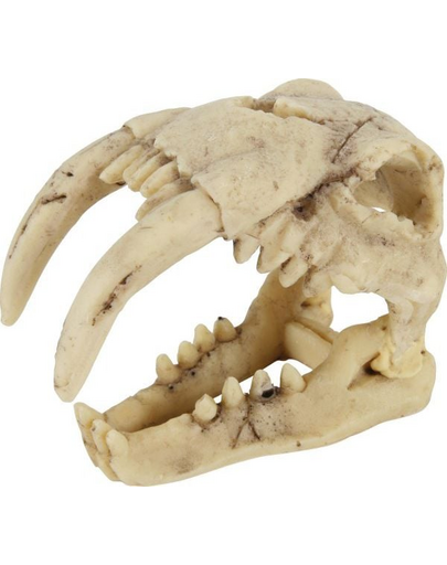 Dekoracja czaszka dinozaura model 4