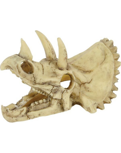 Dekoracja czaszka dinozaura model 5