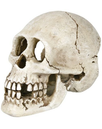 Dekoracja czaszka 15 cm